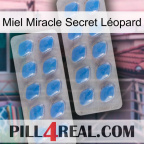 Miel Miracle Secret Léopard 23
